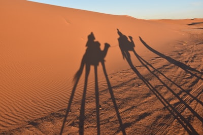 白天在沙漠上骑骆驼的两个人的剪影